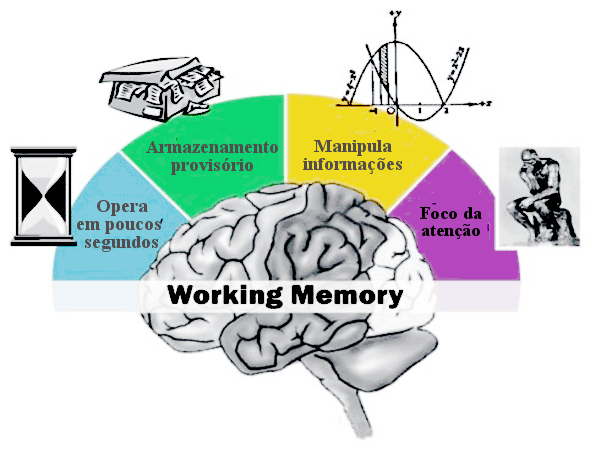 soucrianca working memory